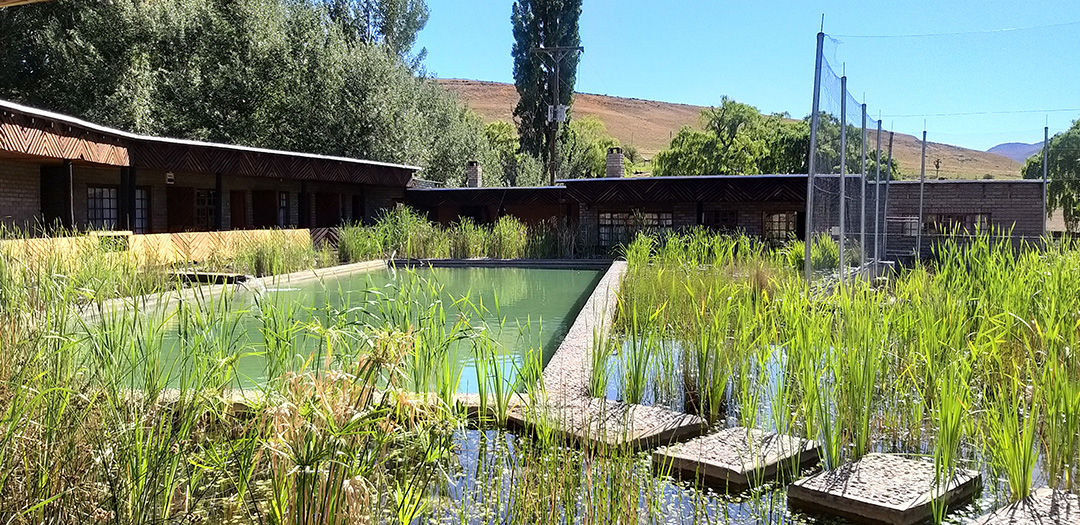 Family Rooms overlook 25m outdoor swimming pool at Alpine Swift Trails