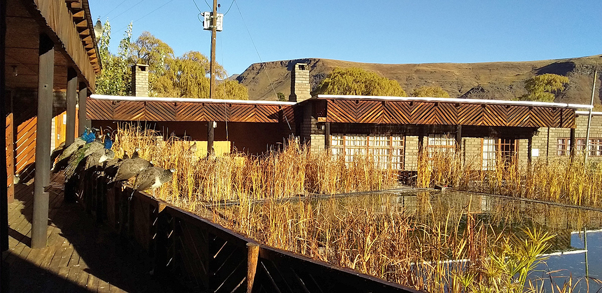The four Single Rooms at Alpine Swift Trails natural swimming pool reeds